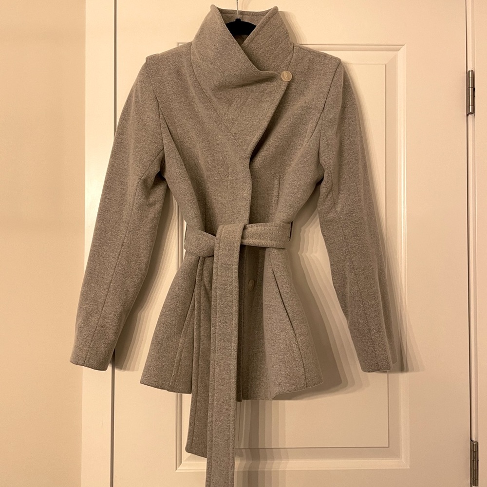 Aritzia Babaton Spencer Wool Coat